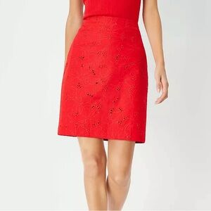 Ann Taylor Eyelet A-Line Skirt